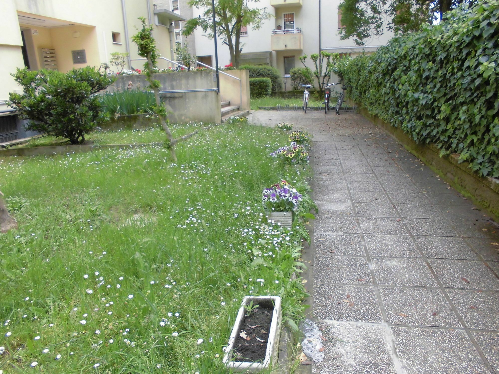 Appartamento Girasole Mestre Esterno foto